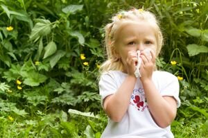 Аллергия у ребенка на пыльцу